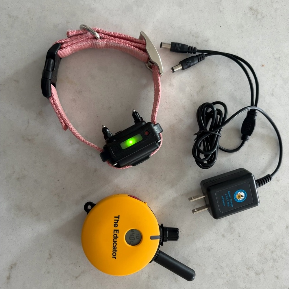 Pink Dog Training Collar with Remote and Charger